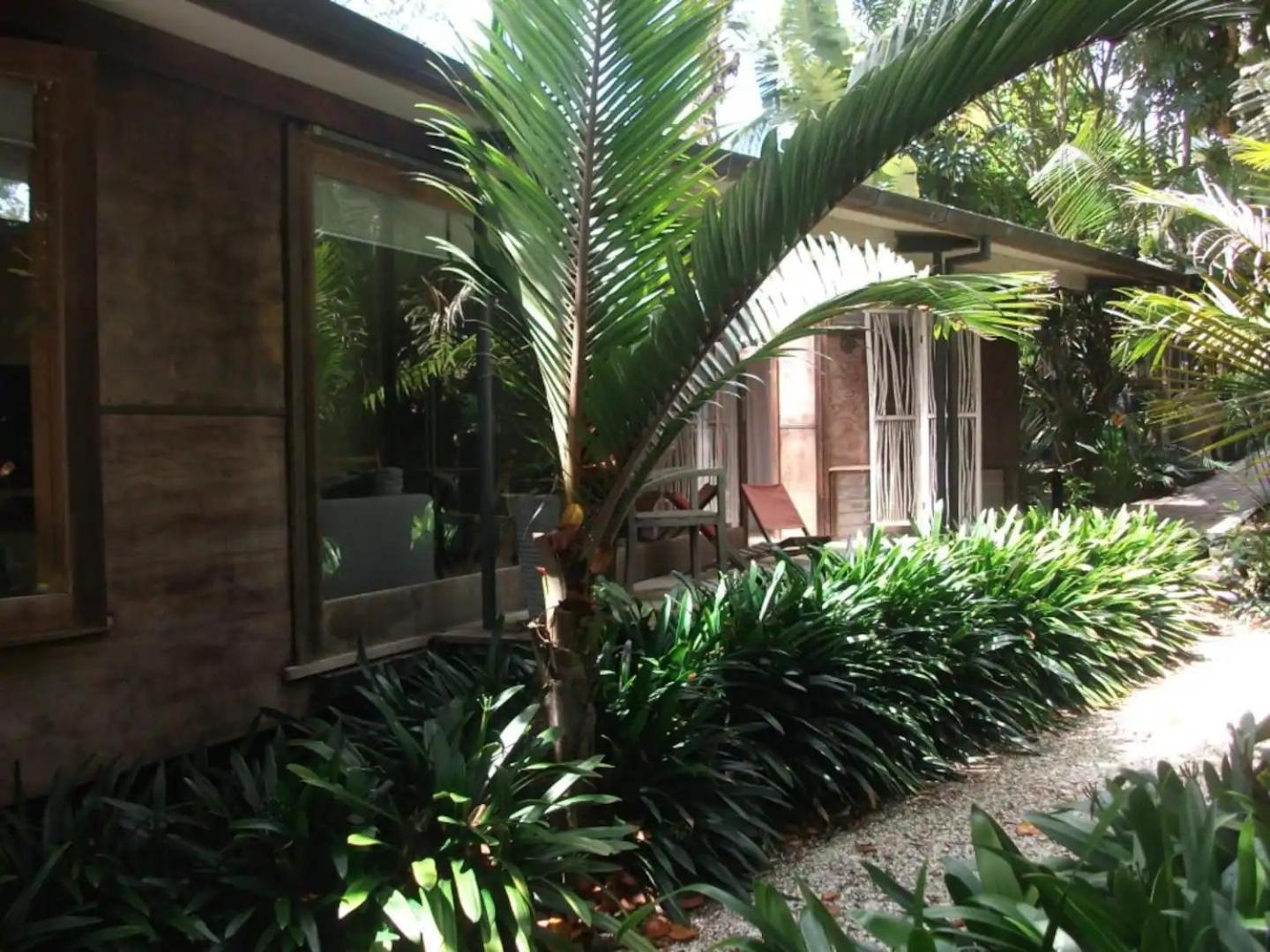 Springfield Studio Auckland Exterior photo